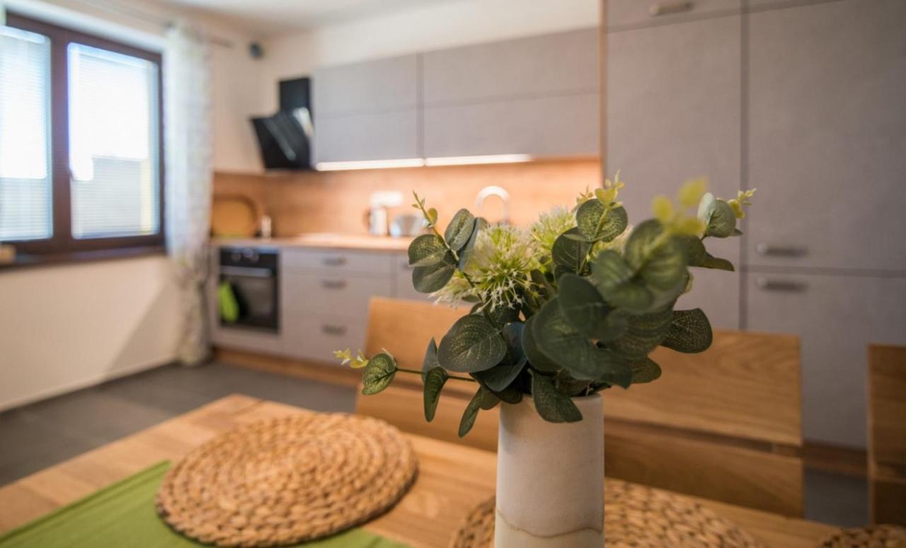 Astra Lipno Apartman Frymburk Kültér fotó